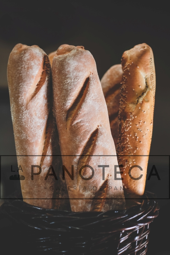 La Panoteca panaderia en León