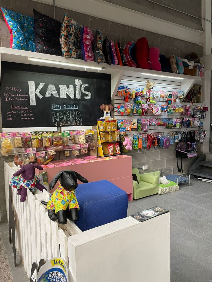 Kanis León, Gto