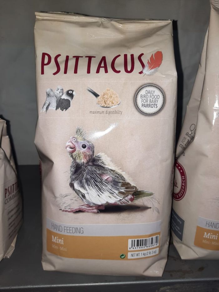 Las ninfas Psittacus alimento para aves