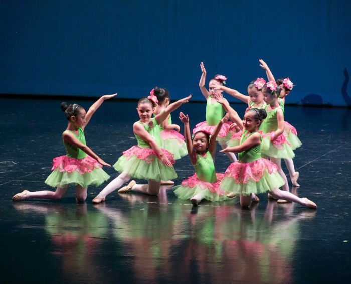Ballarte Escuela de Ballet