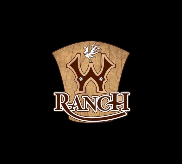 Botas Industriales Wild Ranch Concept