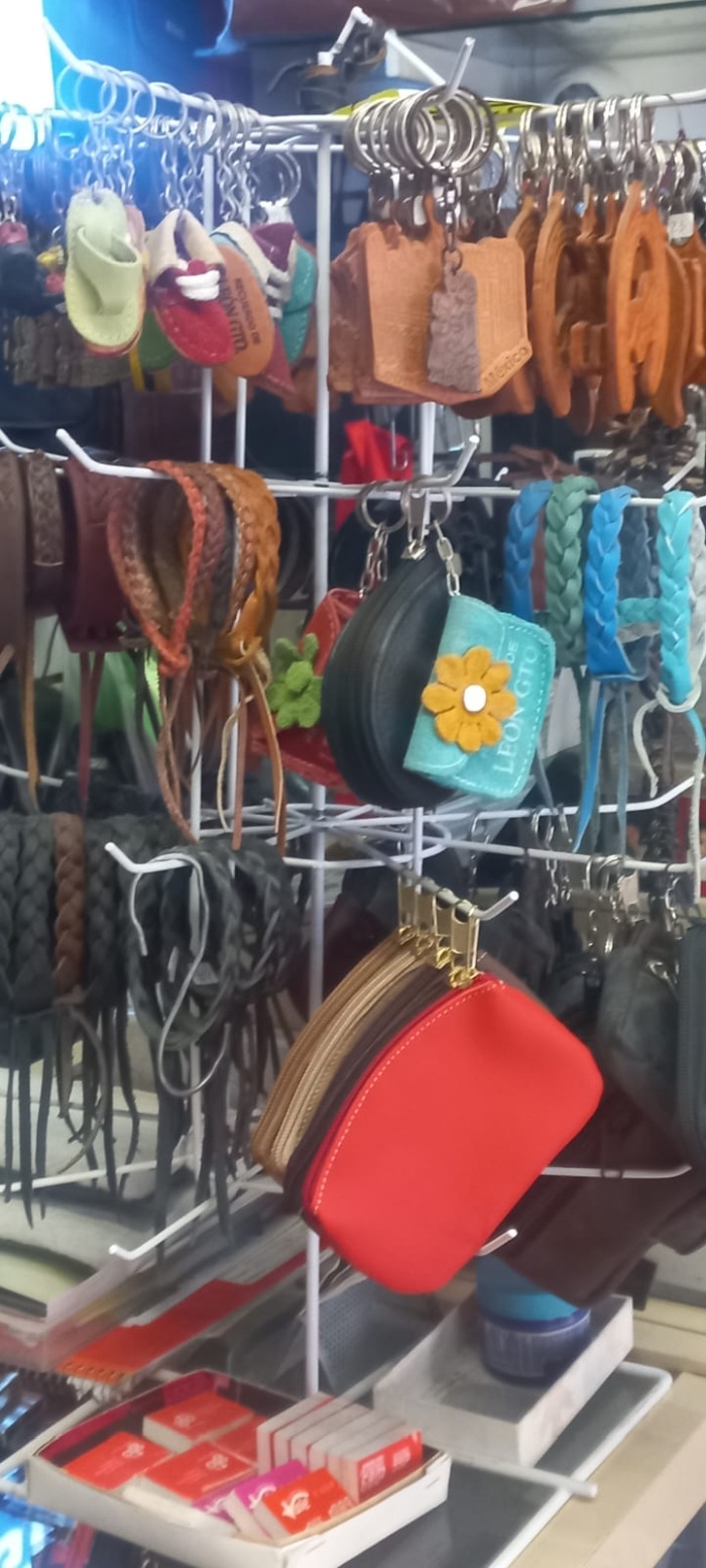 Bolsas de Piel León Guanajuato