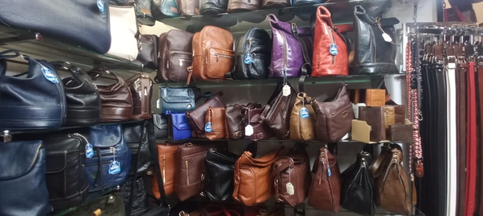 Bolsas de Piel León Guanajuato