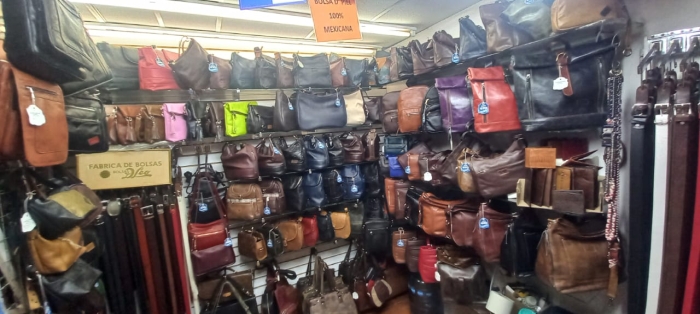 Carteras de Piel León Gto