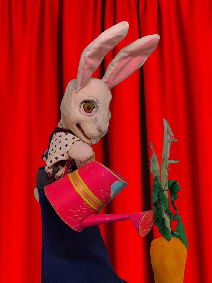 Shows para eventos infantiles en León Gto