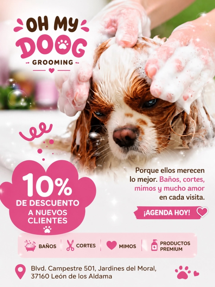 Estética canina en León Gto