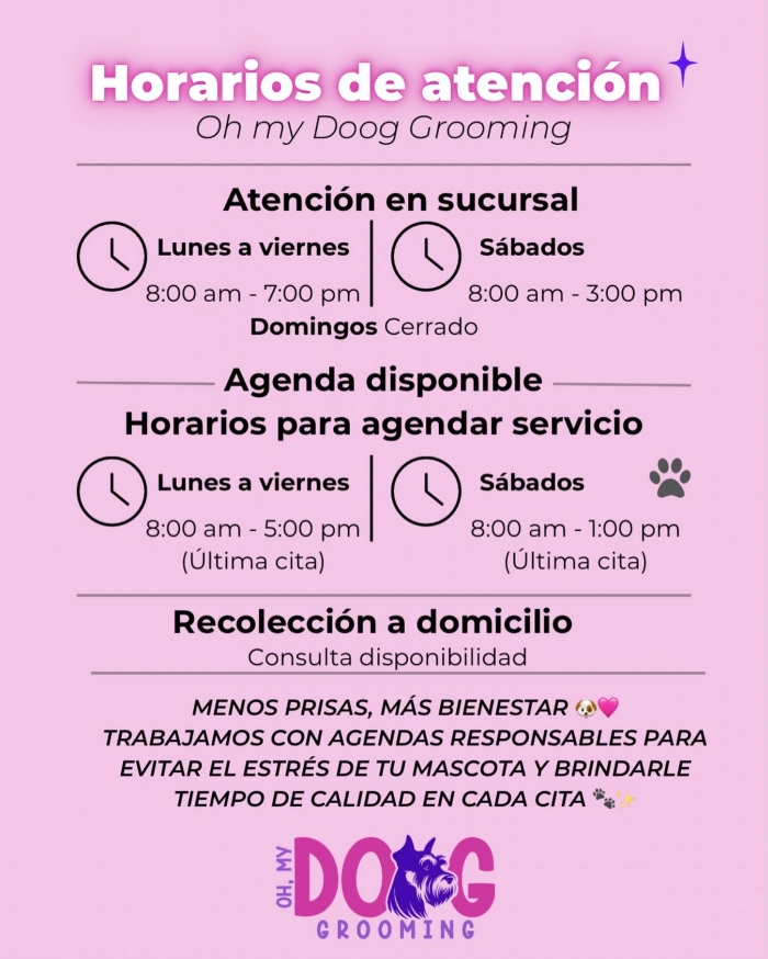 Estética canina en León Gto
