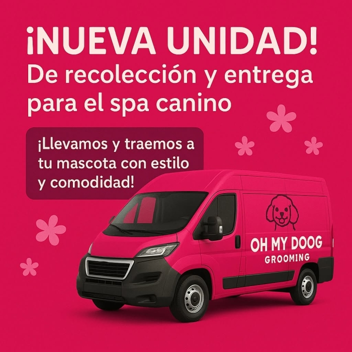 Estética felina León Gto