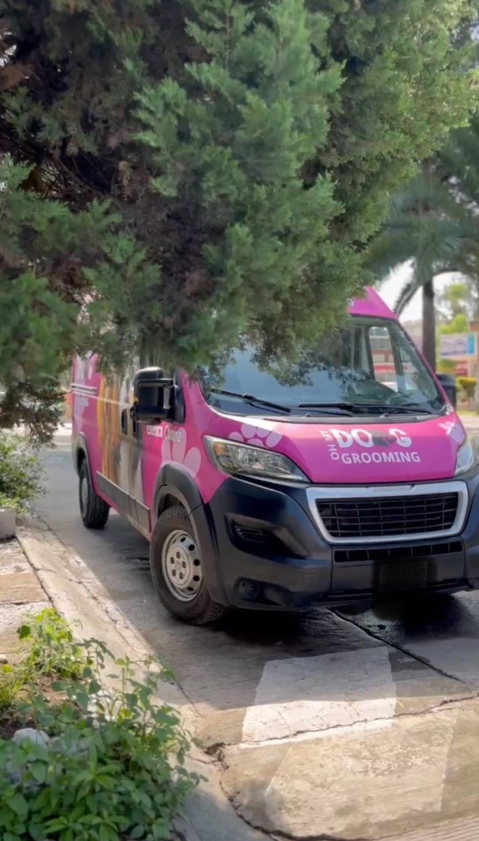 Estética canina en León Gto