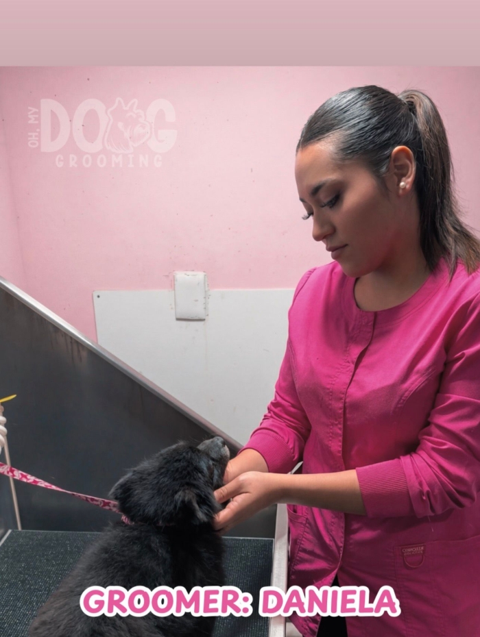 Estética canina en León Gto