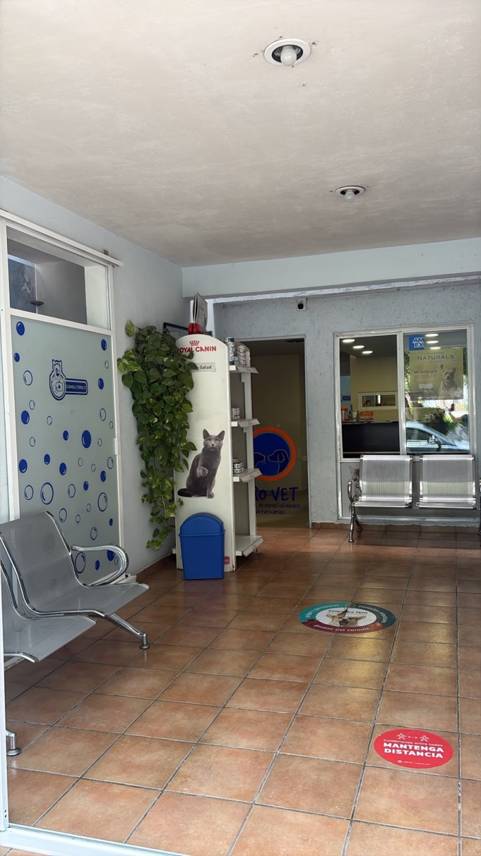 Clínica Veterinaría en León Gto