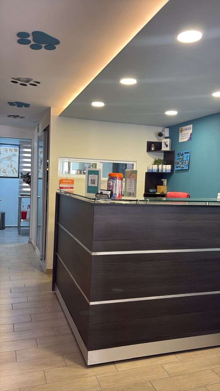 Veterinario en León Gto