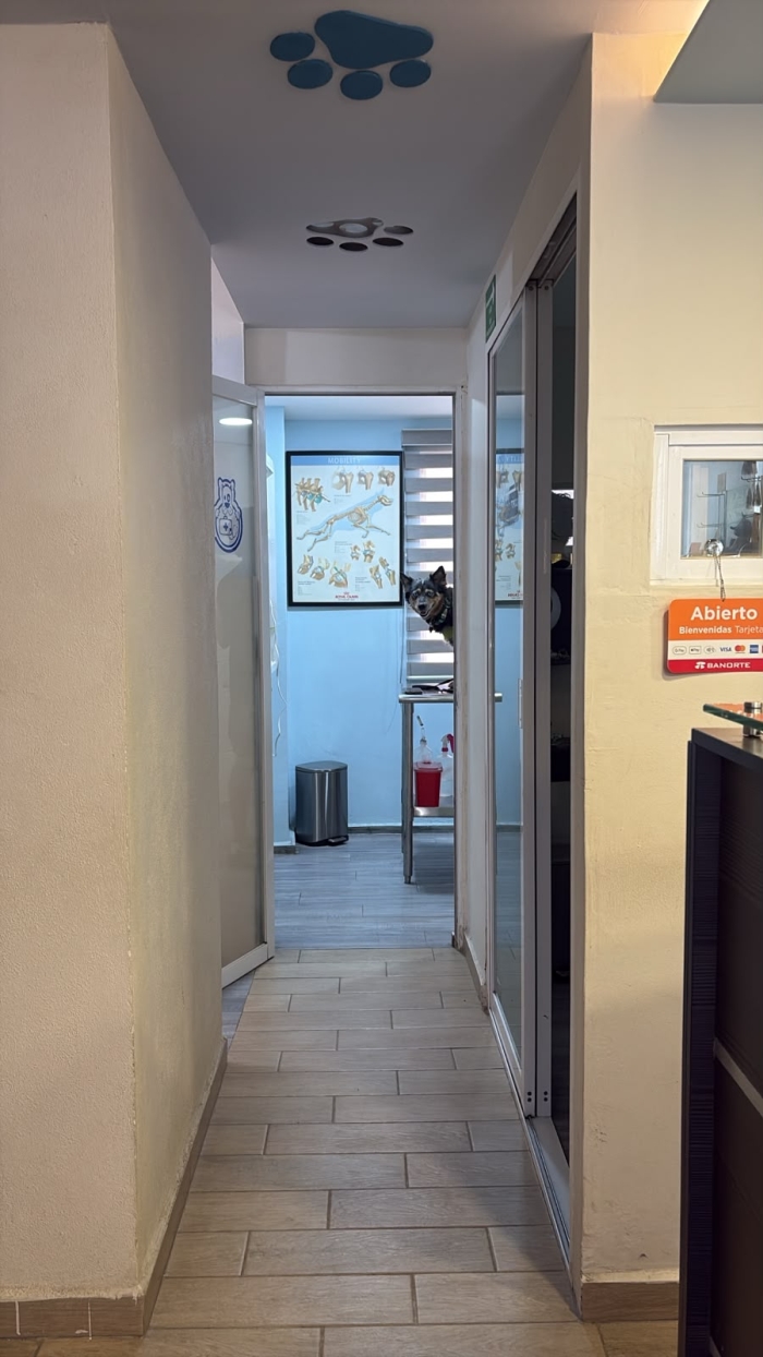 Clínica Veterinaría en León Gto