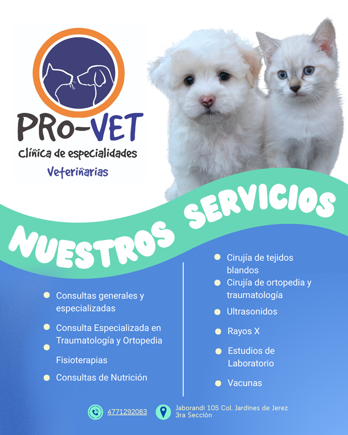 Clínica Veterinaría en León Gto