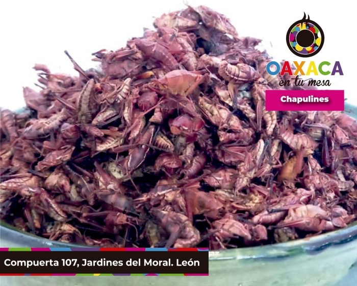 Productos Oaxaqueños en León Gto