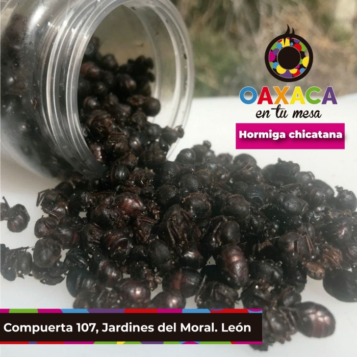 Oaxaca en tu mesa, productos oaxaqueños