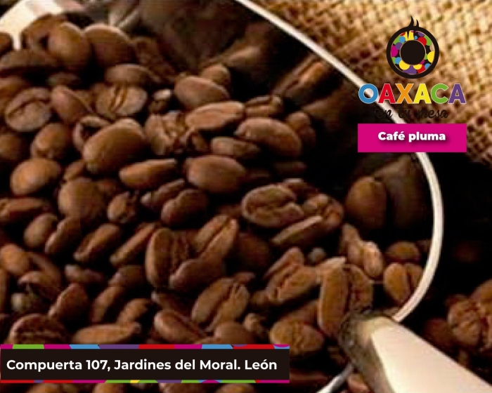 Queso Oaxaca QUesillo León Gto