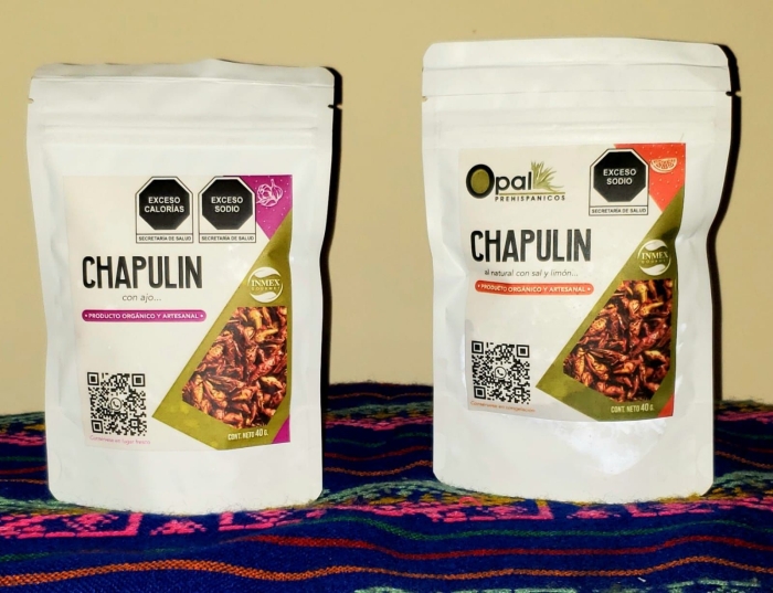 Queso Oaxaca QUesillo León Gto