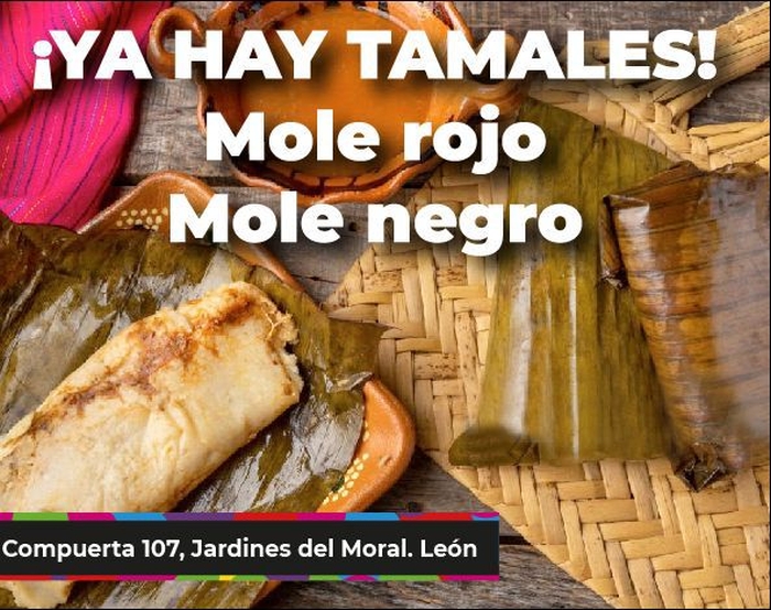 Queso Oaxaca QUesillo León Gto