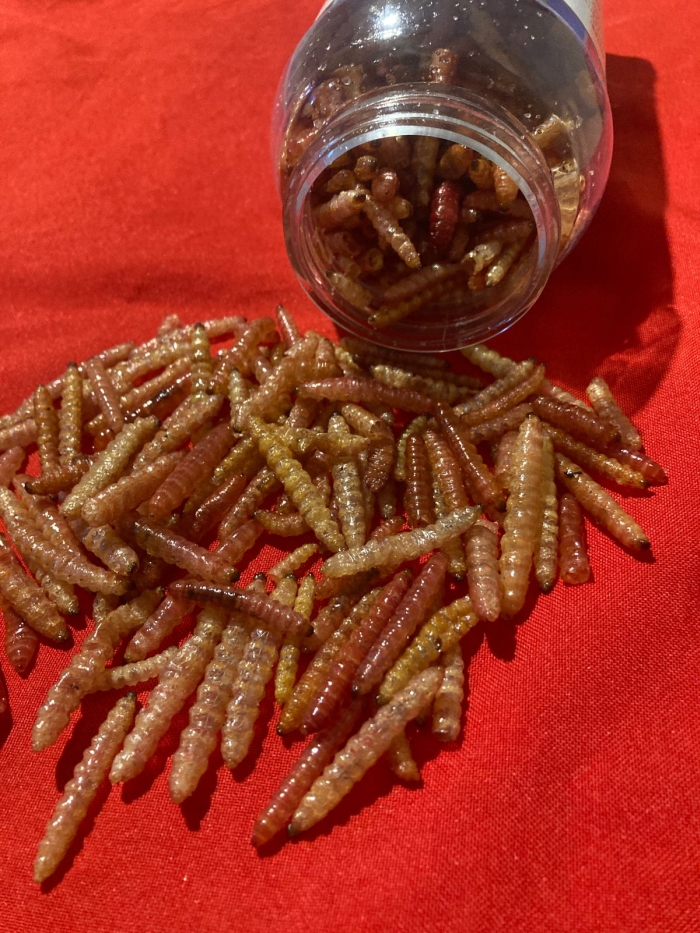 Productos Oaxaqueños en León Gto