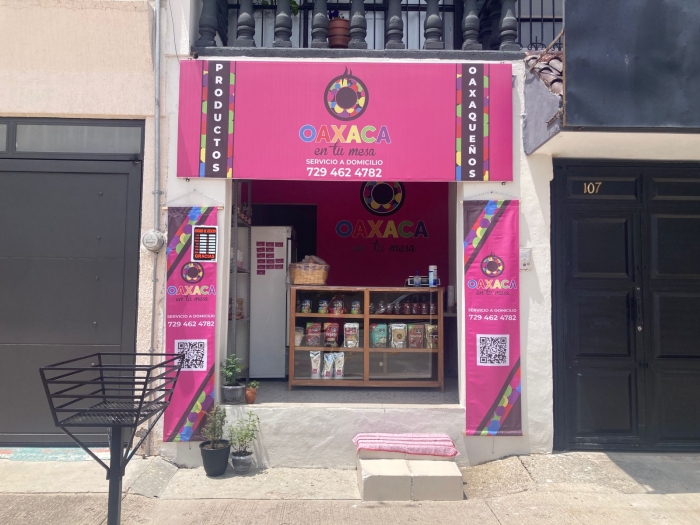 Queso Oaxaca QUesillo León Gto