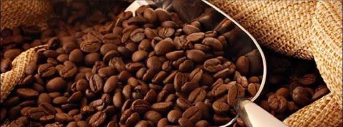 Queso Oaxaca QUesillo León Gto