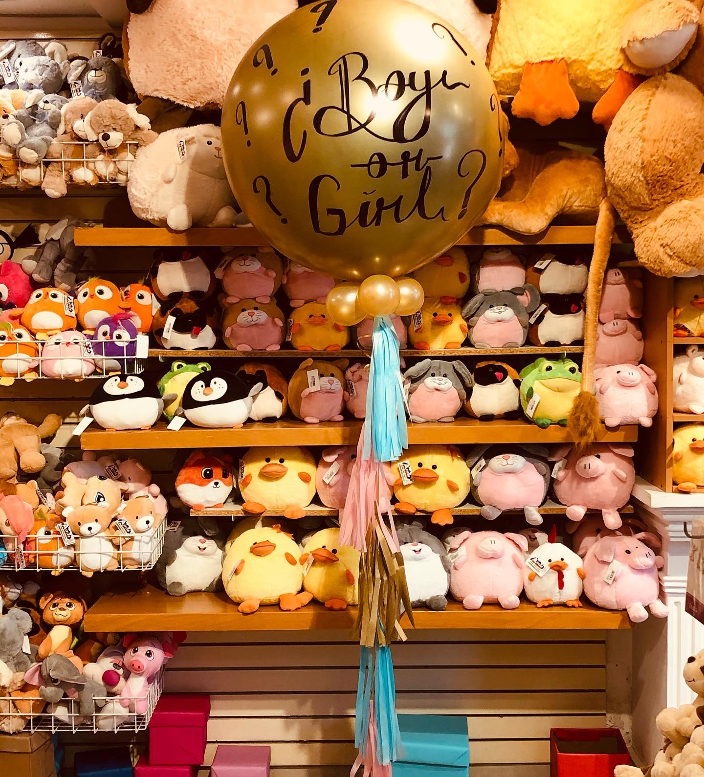 Asylum Arreglos con Globos y Peluches