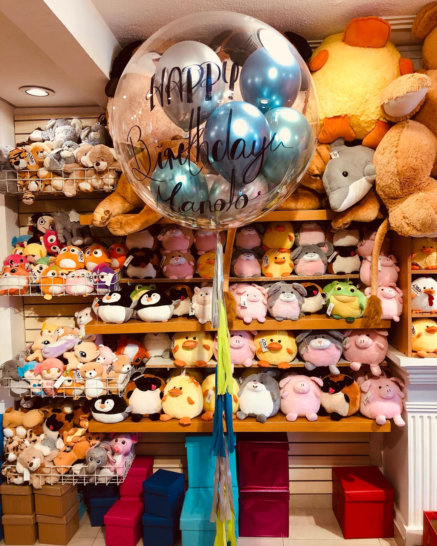 Asylum Arreglos con Globos y Peluches
