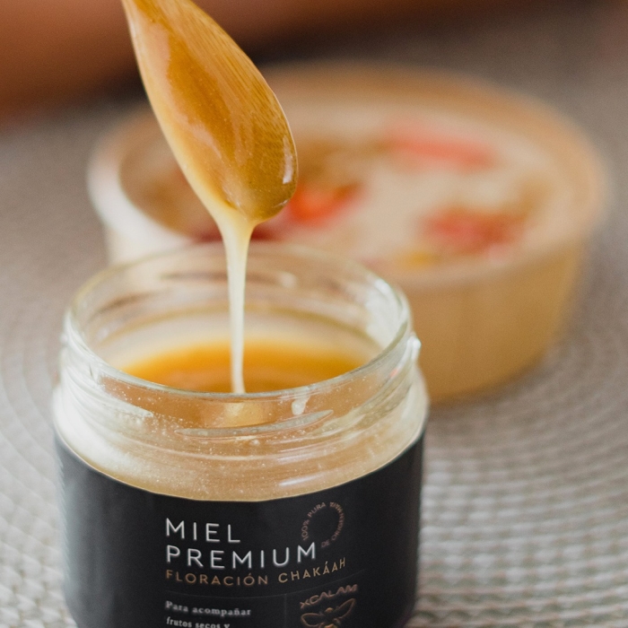 Miel de Abeja León Gto