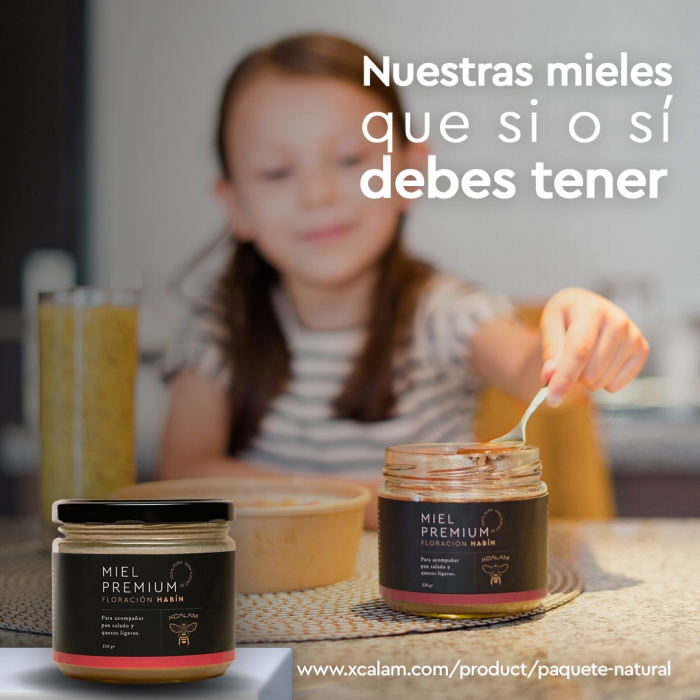 Miel Apis y Melipona