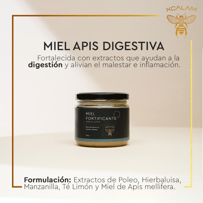 Miel de Abeja León Gto