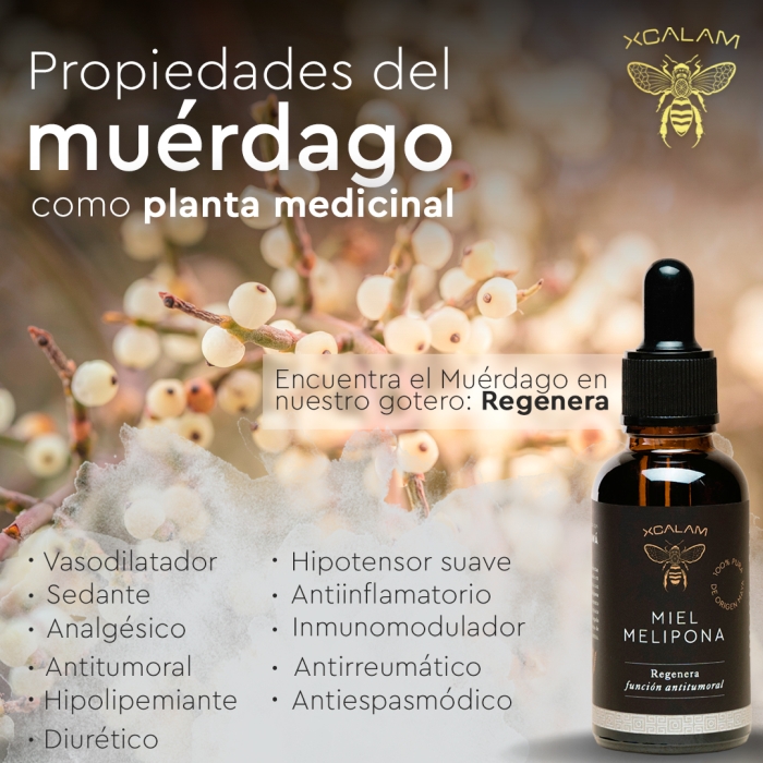 Miel Apis y Melipona