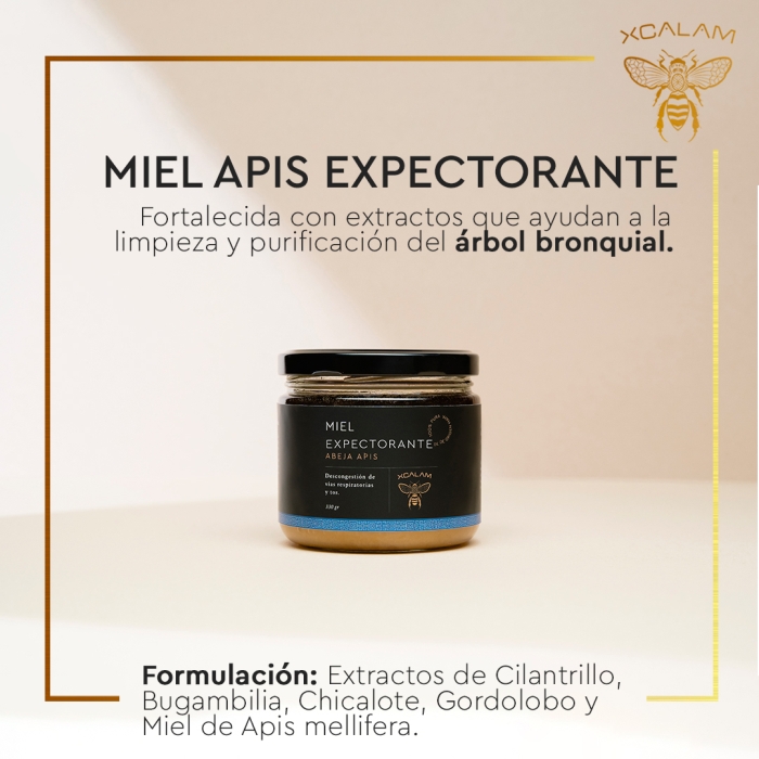 Miel Apis y Melipona