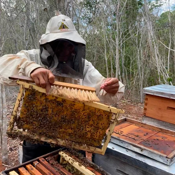 Miel de Abeja León Gto