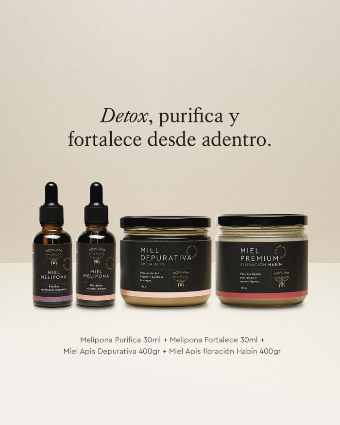 Miel de Abeja León Gto
