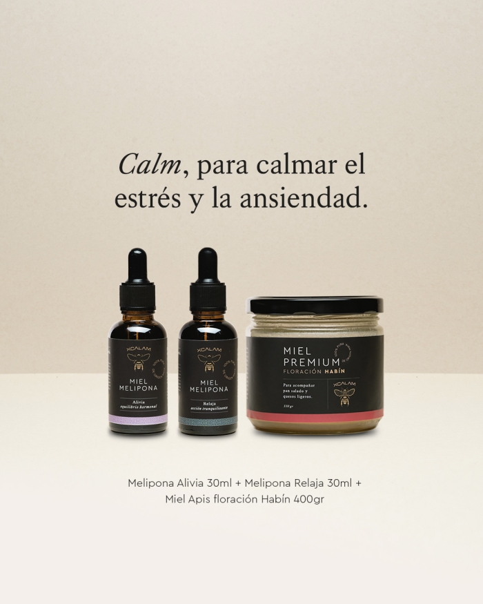 Miel de Abeja León Gto