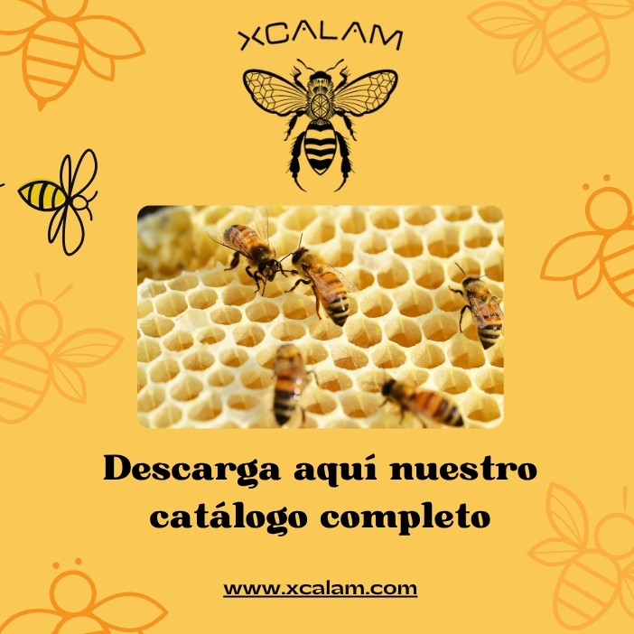 Miel de Abeja Xcalam