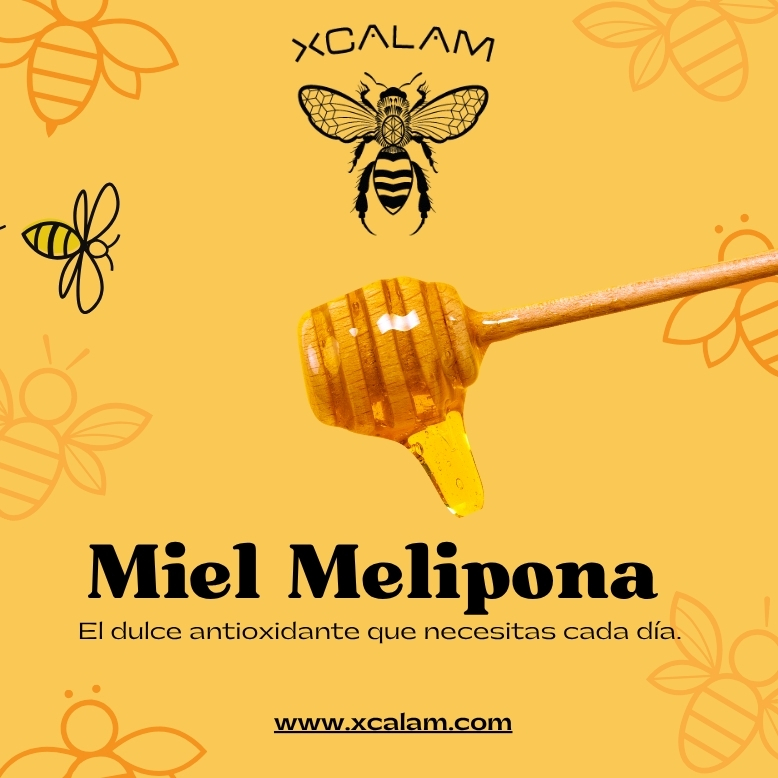 Miel Apis y Melipona