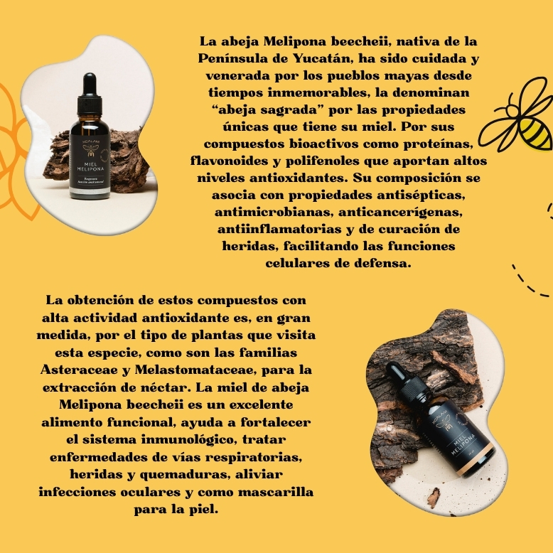 Miel de Abeja León Gto