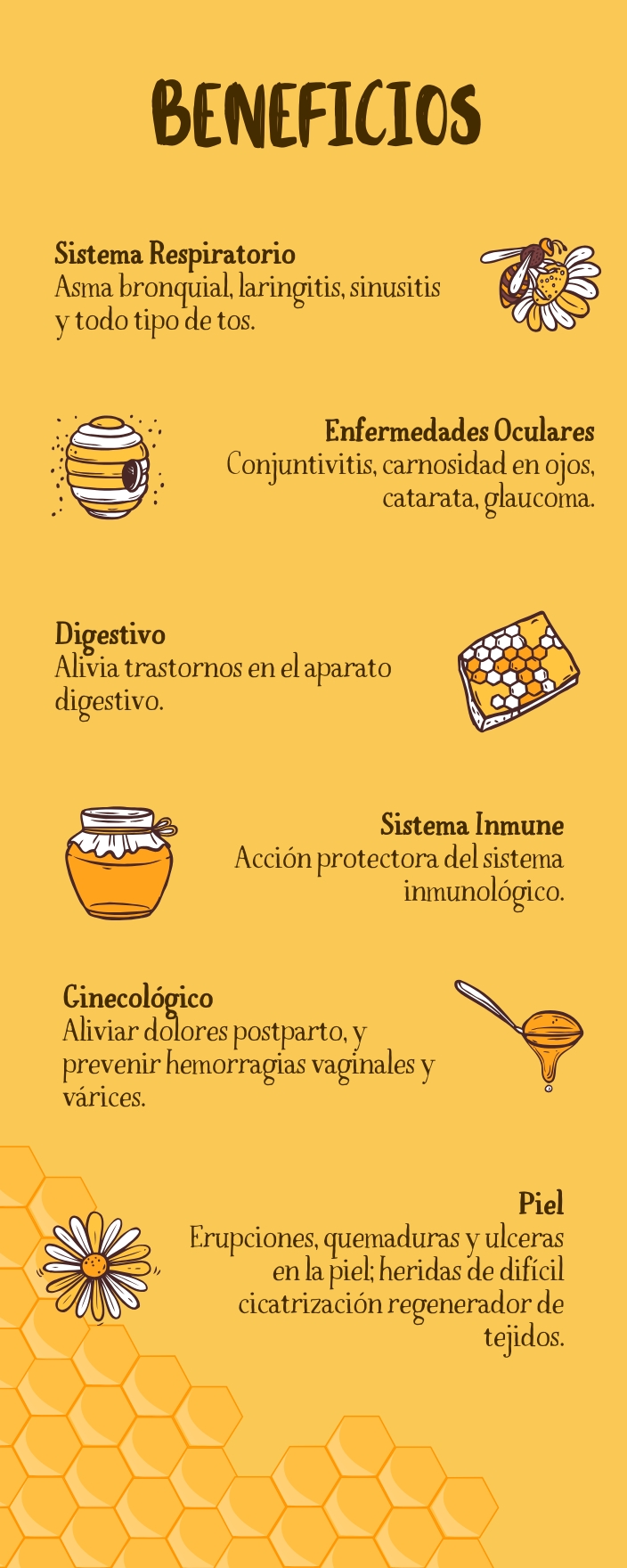 Miel Apis y Melipona
