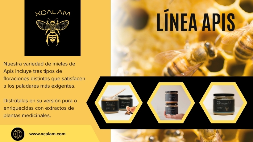 Miel de Abeja León Gto