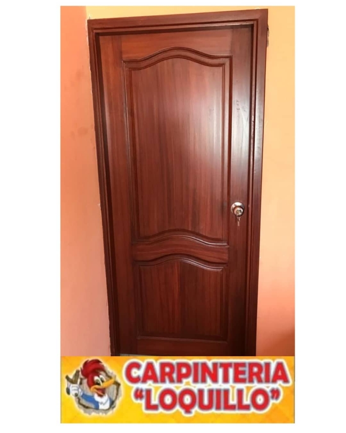 Carpintero León Guanajuato