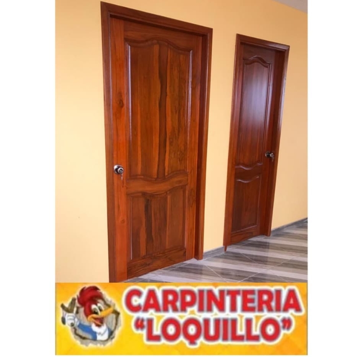 Carpintero León Guanajuato