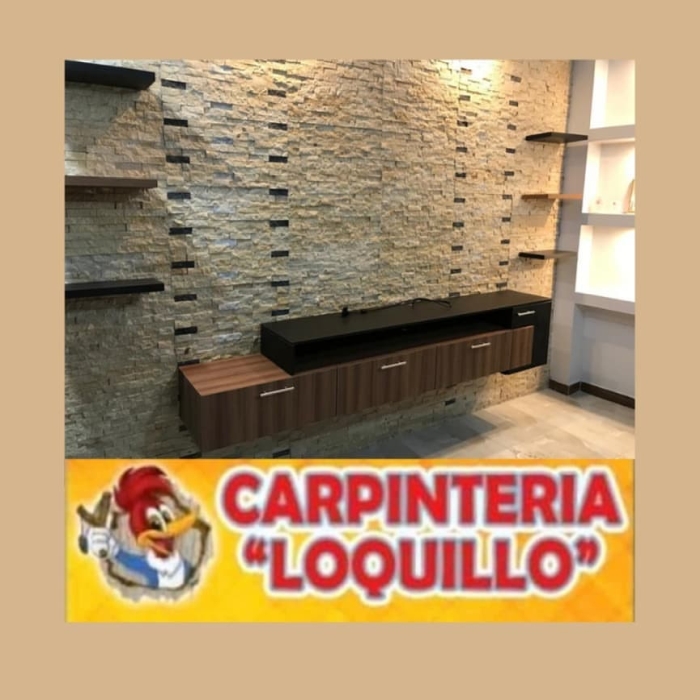 Carpintero León Guanajuato