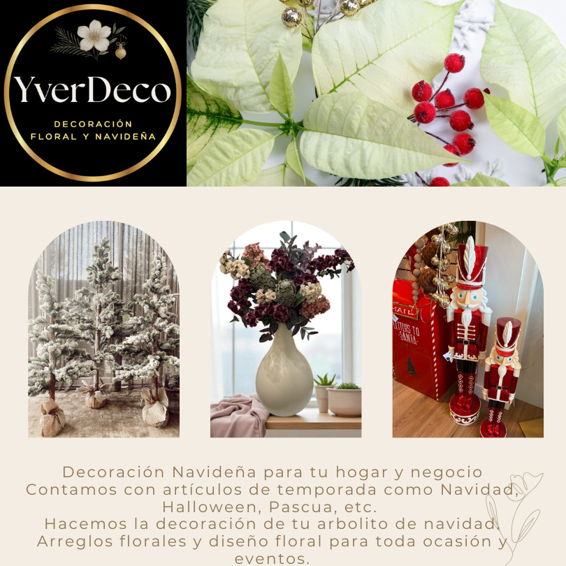 Productos de Navidad León Gto