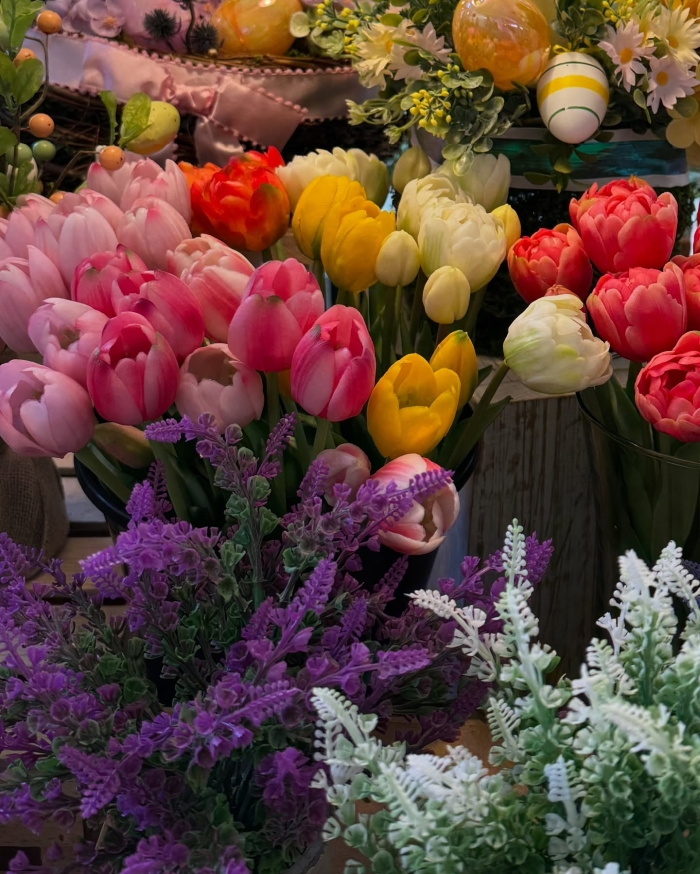 Flores de Navidad León Gto