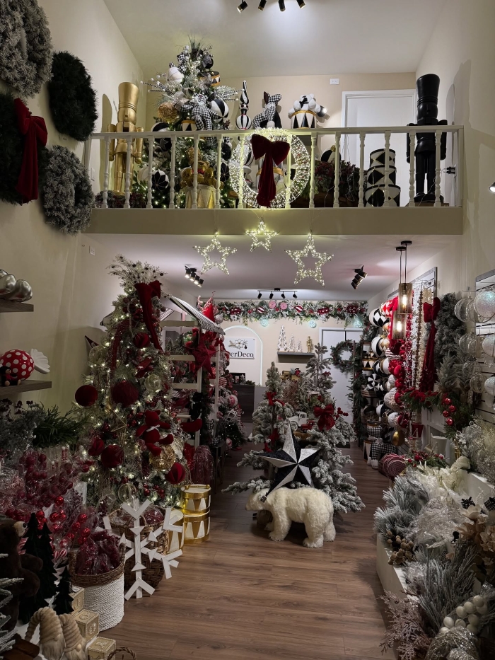 Flores de Navidad León Gto