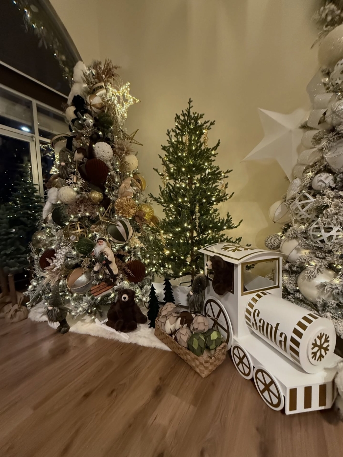 Productos de Navidad León Gto