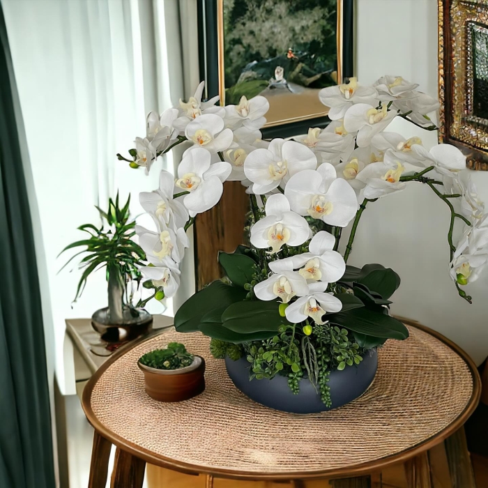Flores de Navidad León Gto