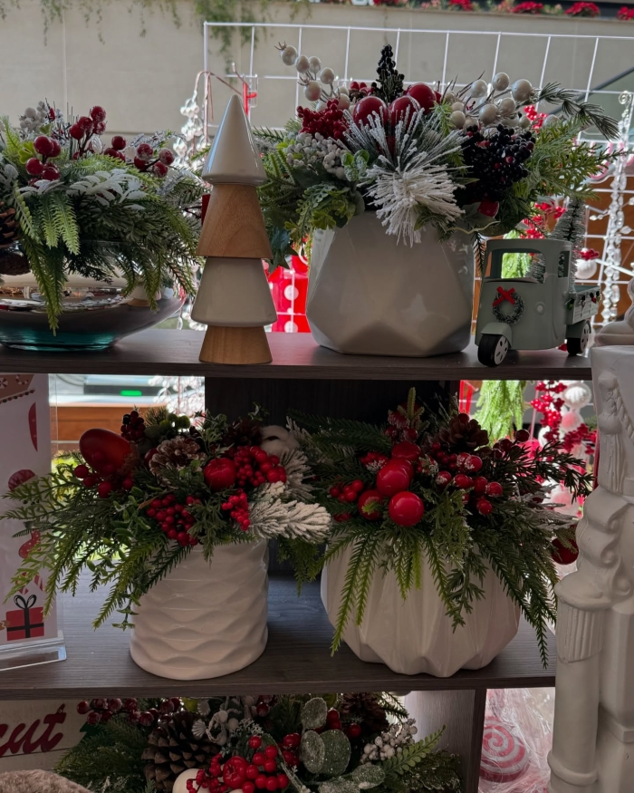 Productos de Navidad León Gto